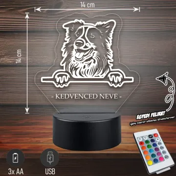 Border Collie - 3D LED LÁMPA - Egyedi felirattal