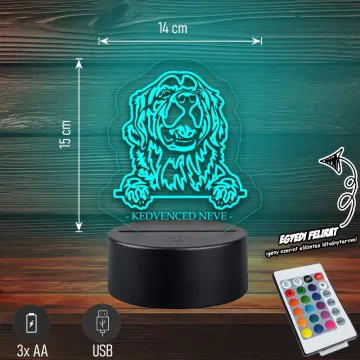 goldenretriever-egyedineves-vilagoskek